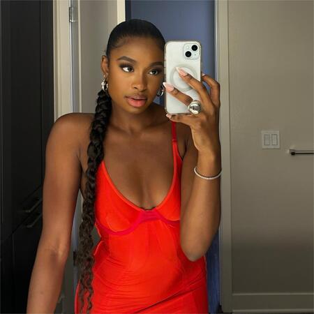 Coco jones Braided Low Ponytail