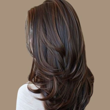 Chocolate Brown Highlights Hair