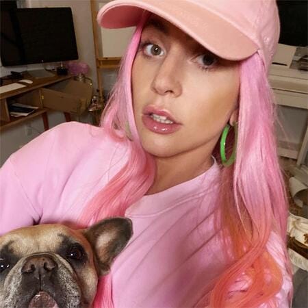 Lady Gaga Pink Hair