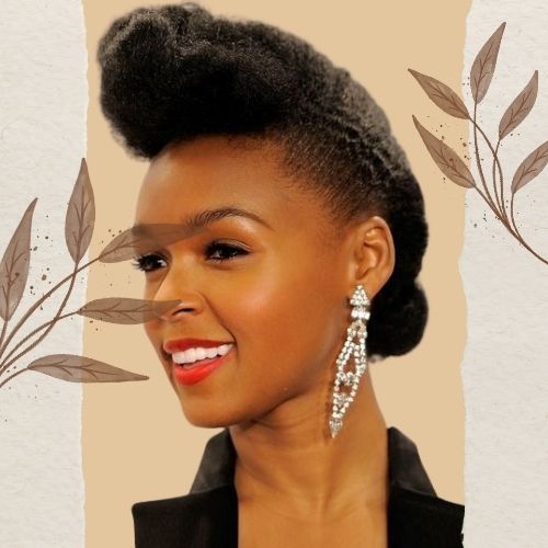 Chic Pompadour Hairstyle