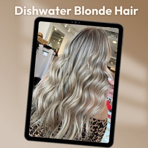 Dishwater Blonde Hair