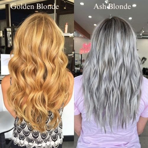 Golden Blonde vs. Ash Blonde