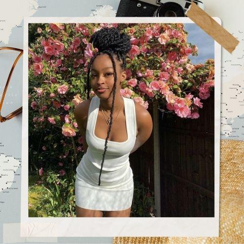 Locs Updo Hairstyle