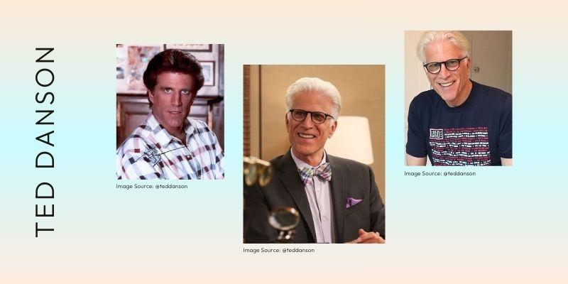 Does Ted Danson Wear a Wig? The Truth Behind His Iconic Hair