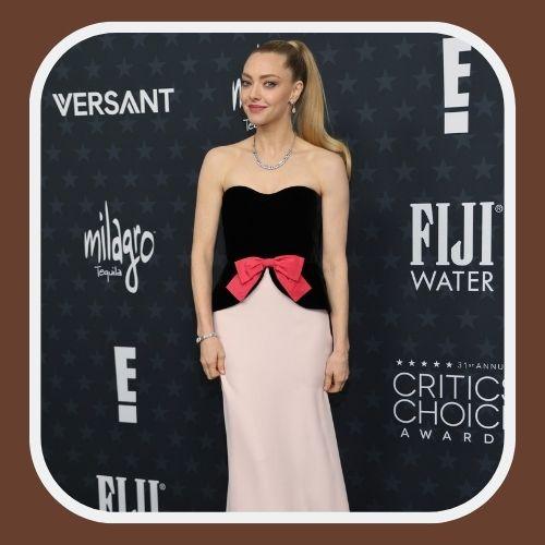 Amanda Seyfried Ponytail