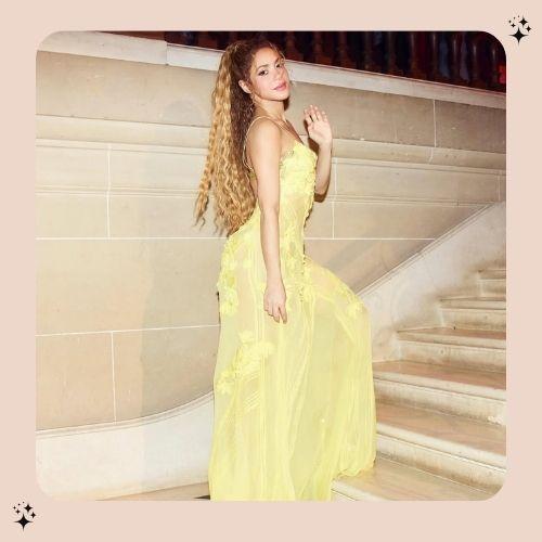 Shakira Half Up Half Down Hair