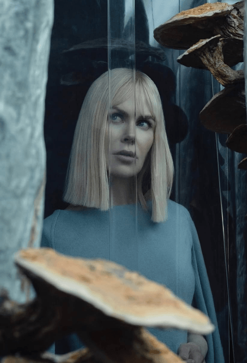 nicole kidman short bob wig